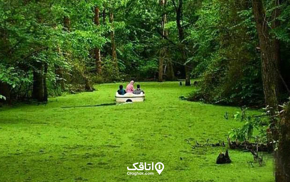 جنگل سراوان، از قدیمی‌ترین جنگل‌های ایران