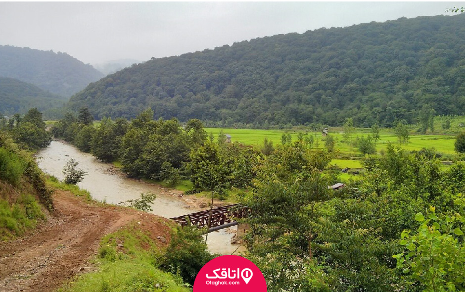 تنگ واشی