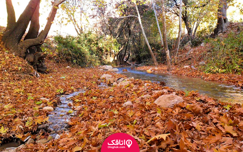 تنگه گنجه ای