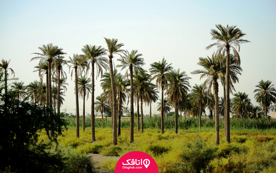 جزیره مینو