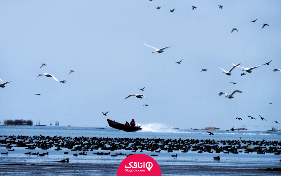 جزیره های شمال ایران