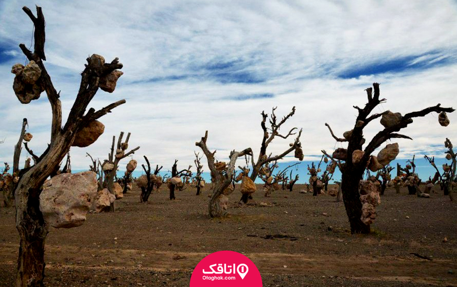 باغ سنگی کرمان