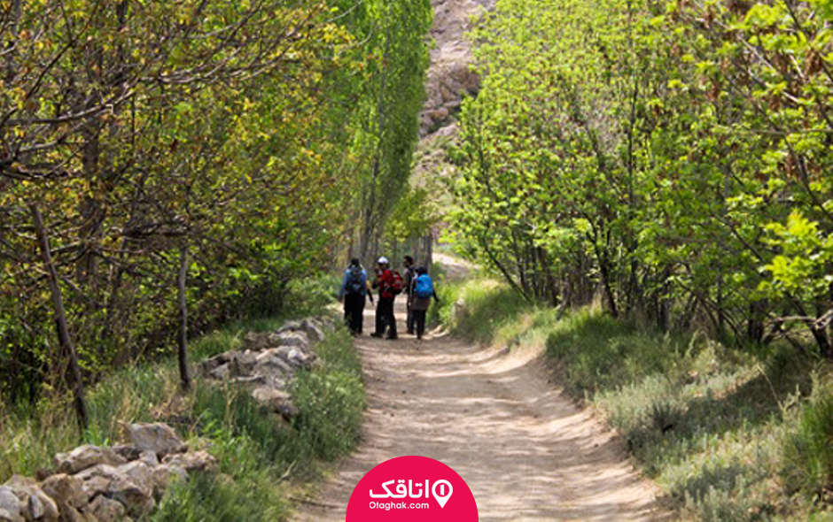 زرین دشت