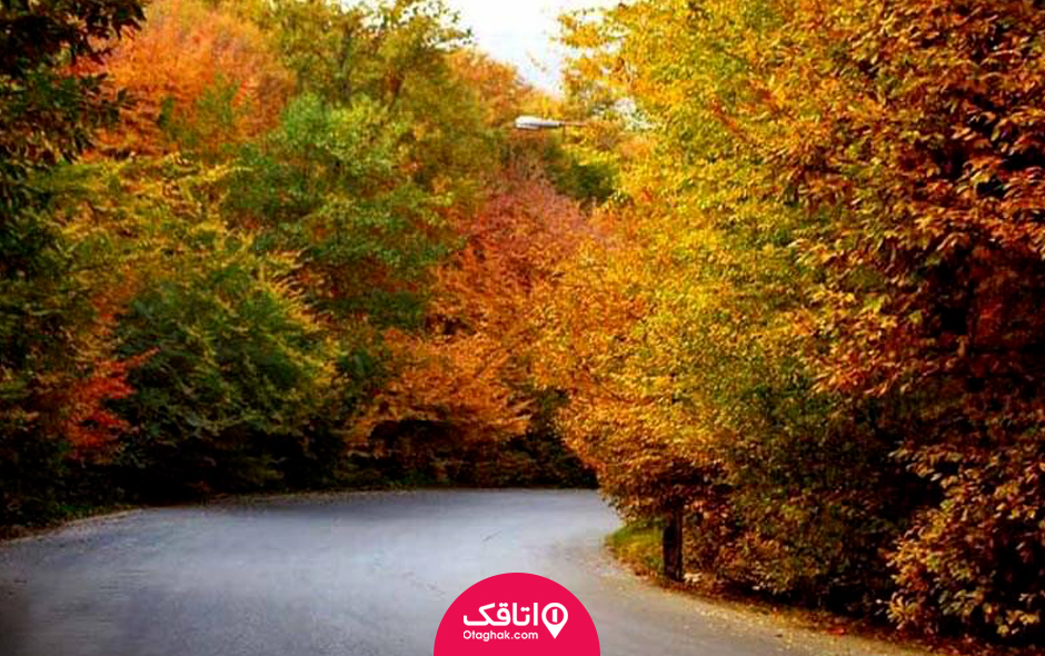 ناهارخوران گرگان