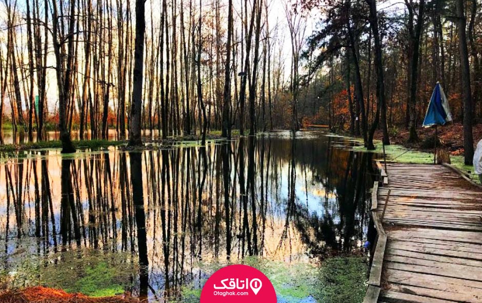 دیدنیهای بندر کیاشهر