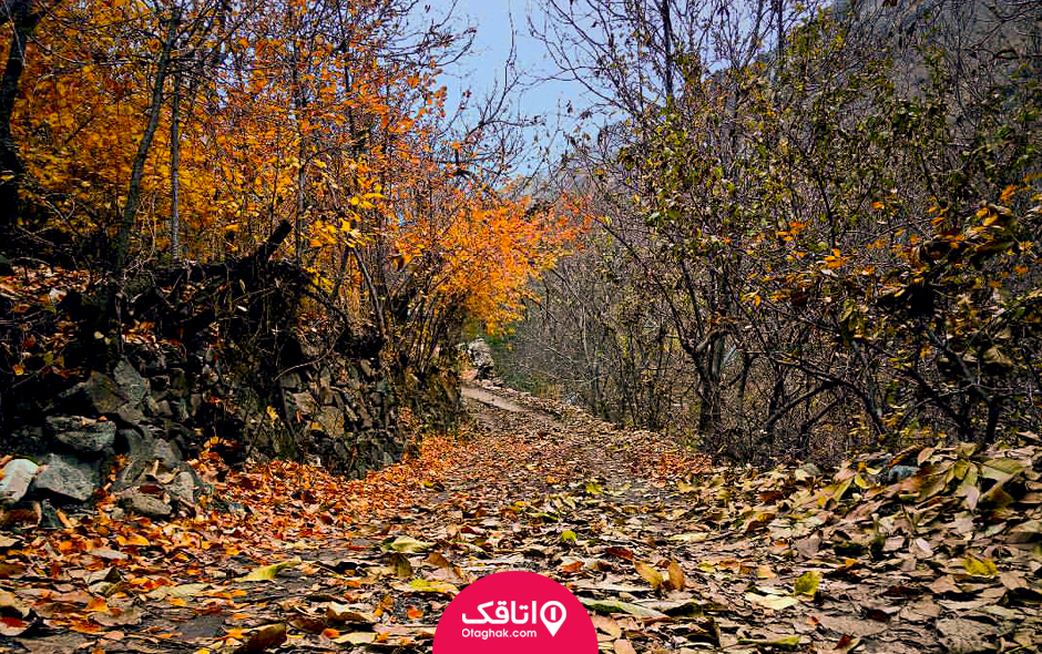 سفر به کردان