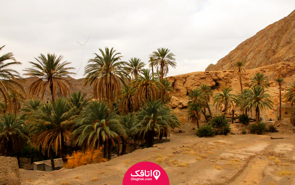 کویر زردگاه