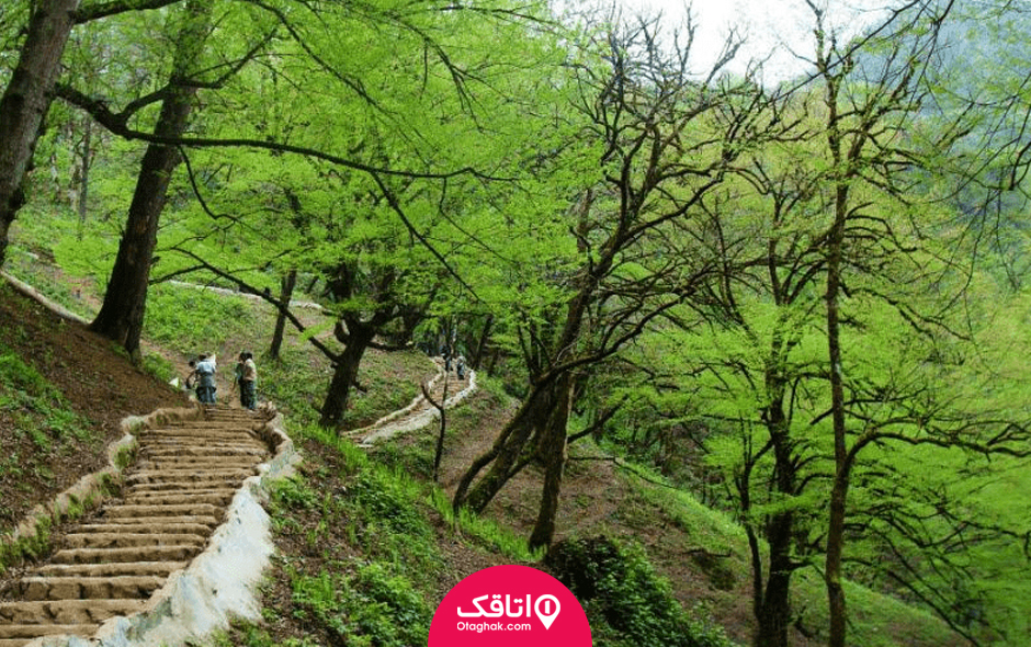 بهترین رستوران های گیلان