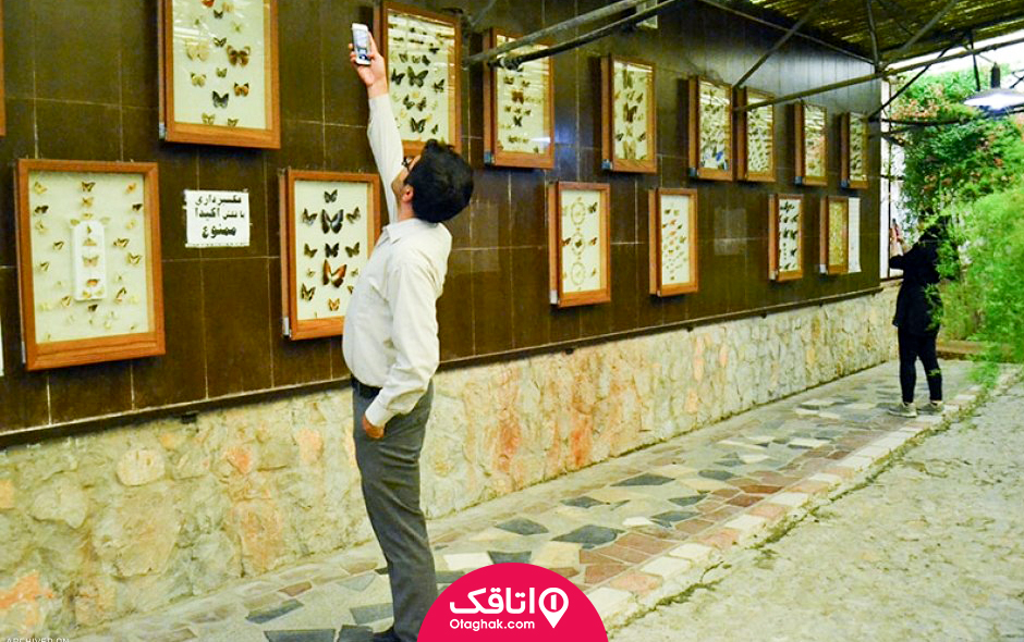 باغ موزه پروانه های اصفهان