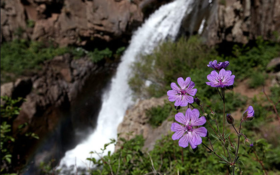 جاهای دیدنی میانه