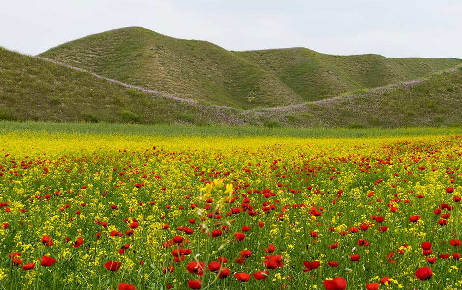 روستای آق‌ بند، دیدنیهای گنبد کاووس