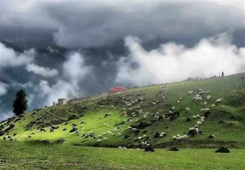بام سبز ماسال