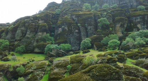 مخمل کوه