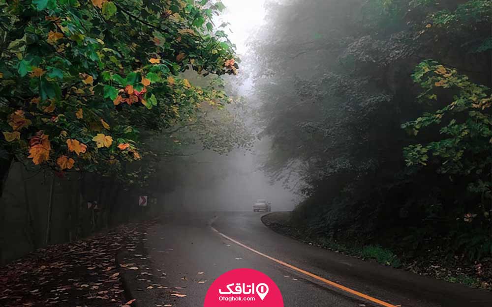 جاده ای مه گرفته و خیس که تنها یک ماشین در حال گذشتن از آناست و اطراف آن درختان و برگ درختان ریخته شده است