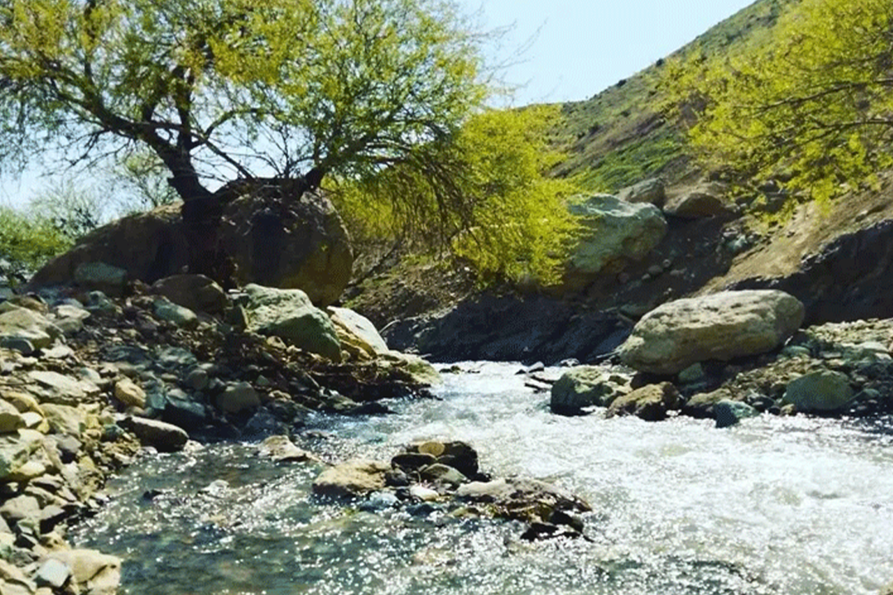 رودخانه‌ی زلال وردیج از دل کوهستان