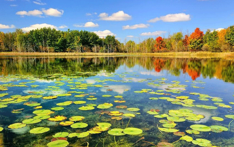 زیباترین تالاب های شمال ایران