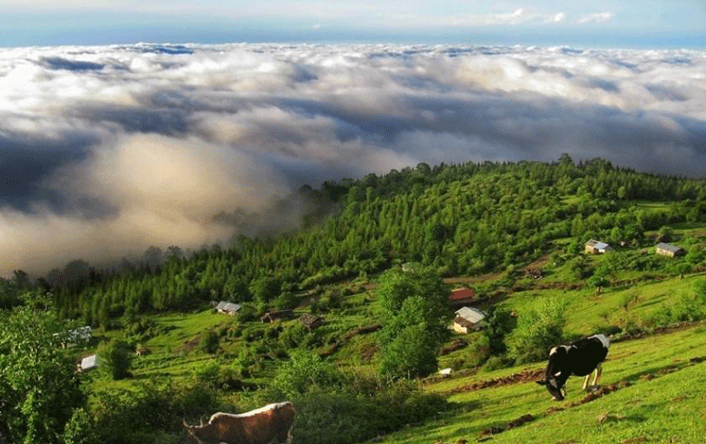 پنج شهر مهم مسافر پذیر مازندران