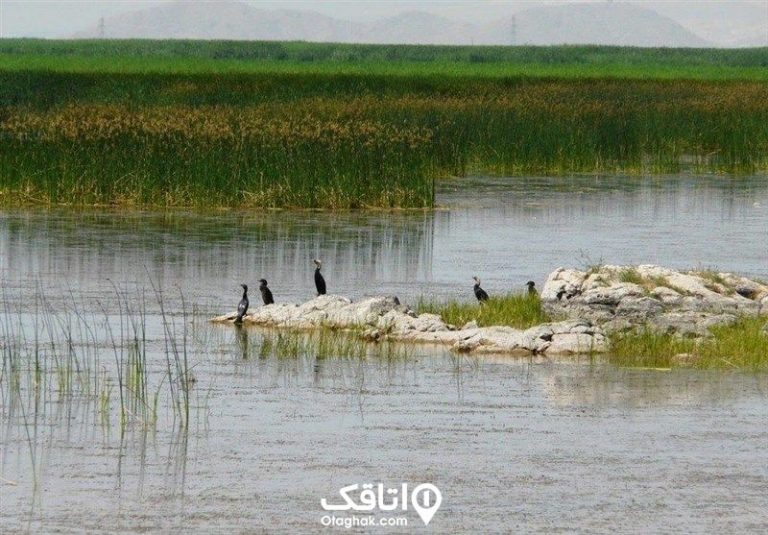 ماکو کجاست؟ | همه چیز درباره شهر ماکو