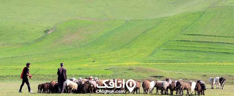 عشایر شاهسون اصلاندوز