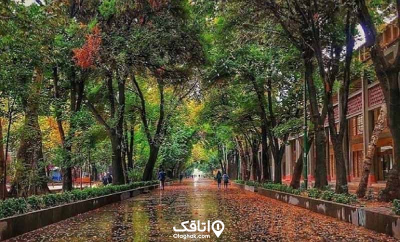 تصویر پیاده رویی در اصفهان که از برگ های رنگارنگ پاییزی پر شده است