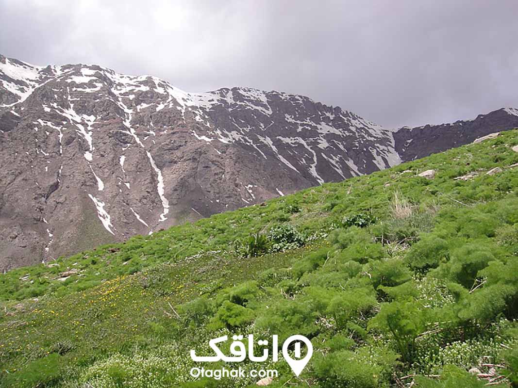 منطقه کوهستانی- یک کوه سرسبز در کنار یک کوه که روی آن برف نشسته