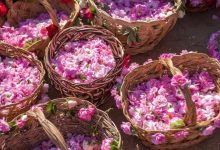 سوغات و صنایع دستی کاشان | زیبایی‌های کاشان را با خود به خانه بیاروید