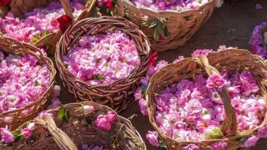 سوغات و صنایع دستی کاشان | زیبایی‌های کاشان را با خود به خانه بیاروید