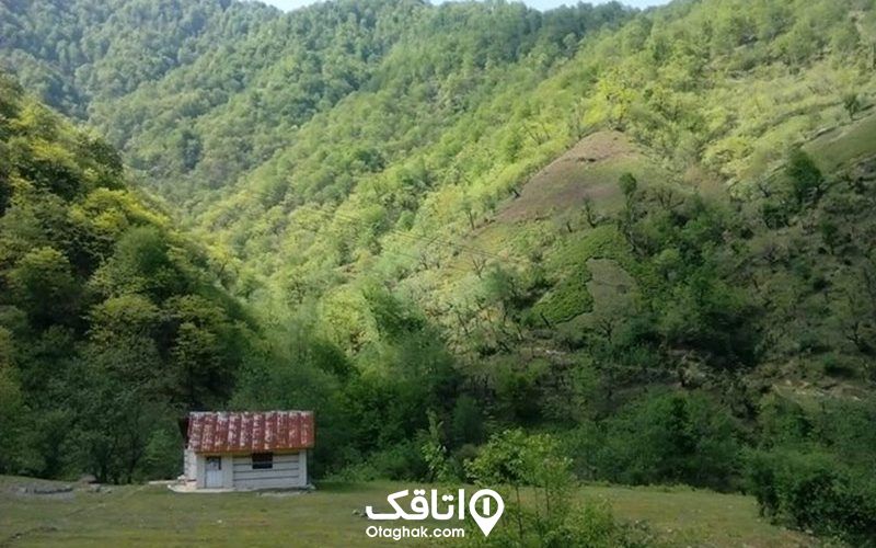 کلبه ای تک و تنها در میان کوه هایی یپوشیده از درختان