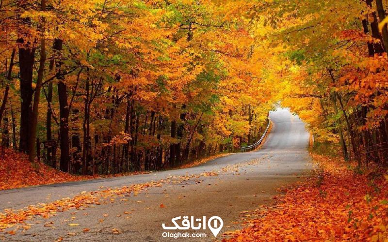 جاده ای که دو طرف آن درختان با برگ سبز و زرد و نارنجی و هتند و برگ های انها روی زمین ریخته