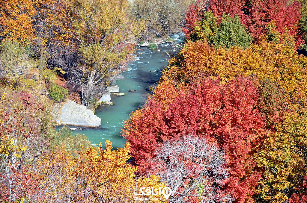 درختان رنگارنگ در کنار رودخانه ای که روان است