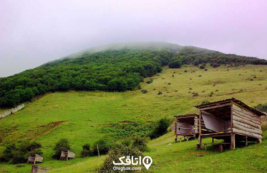 جنگلی روی قله کوه و جنگل ابر در حال تشکیل روی جنگل ، پایین کوه اتاقک های چوبی برای نشستن بنا شده