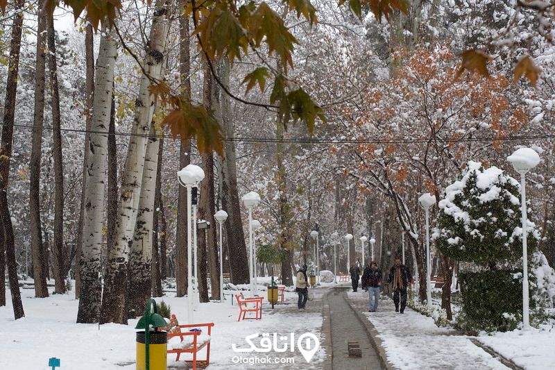 یک پارک با درختان و نیمکت های خود در یک ورز برفی در زمستان