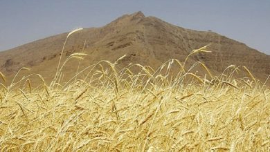 وارمین کجاست؟ | سفر به یکی از شهرهای کویری تهران