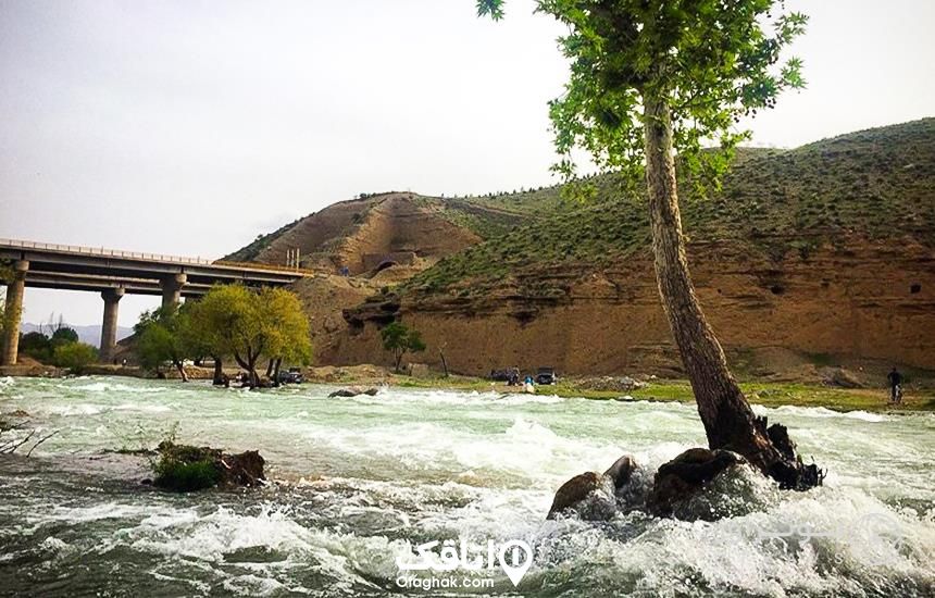 رود بزرگی که یک درخت کوچک وسط آن قرار گرفته و پلی ماشین رو از روی آن رد شده