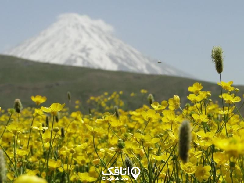 عکاسی در رودهن