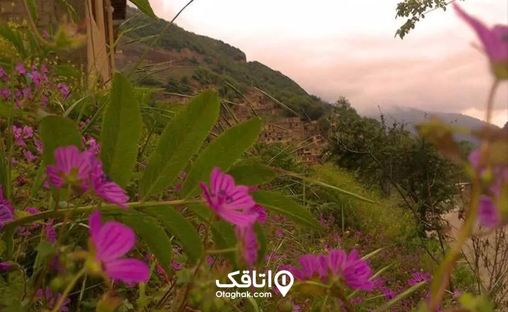 پارک جنگلی ماسوله