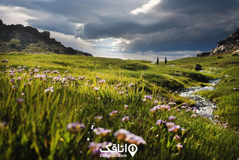 نمایی از دشت میشان، یکی از زیباترین جاهای دیدنی همدان