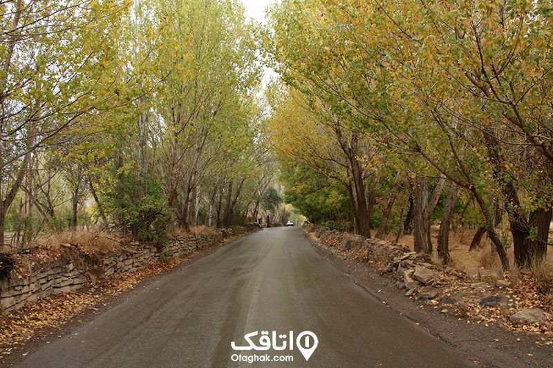 نمایی از یکی از جاده‌های پاییزی همدان