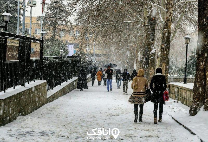 نمایی از یک روز برفی در شهر همدان
