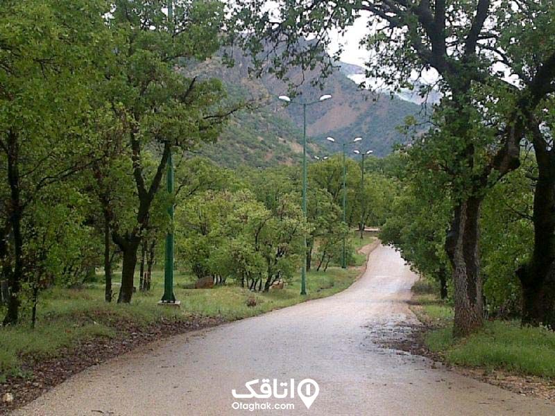 مسیری که در انتهای کوه هایی پسداشت و دو طرف آن درختان سبز رنگ هستند
