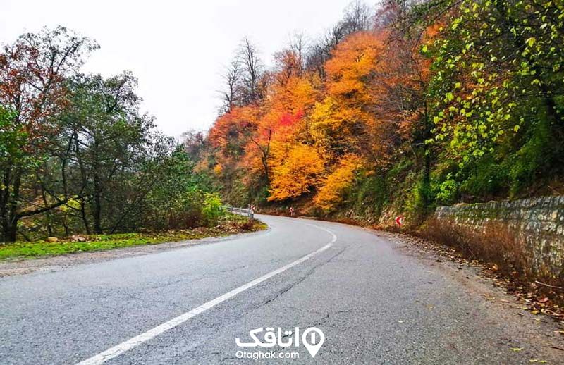 جاده ای بین فضای سبز و کوه که روی کوه درختان با برگ های سبز و زرد و نارنجی قرار دارند