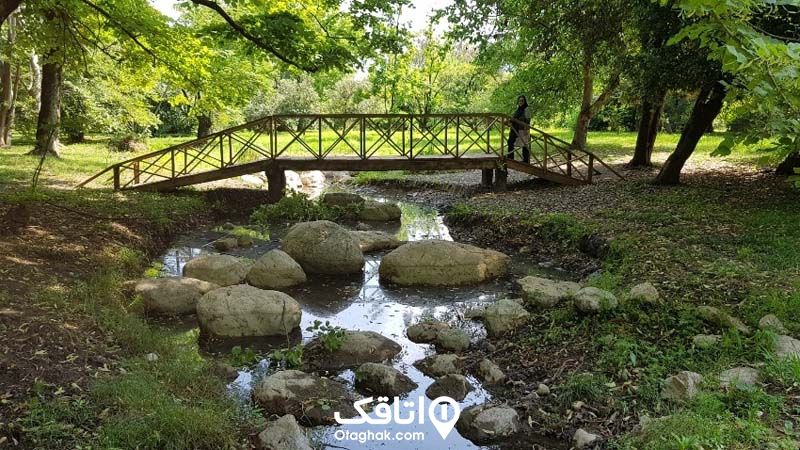 پل چوبی روی یک رودخانه در نوشهر