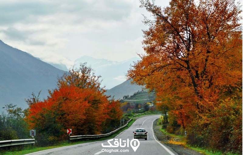 جاده ای زیبا که دو طرف آن درختان با برگ های نارنجی است.