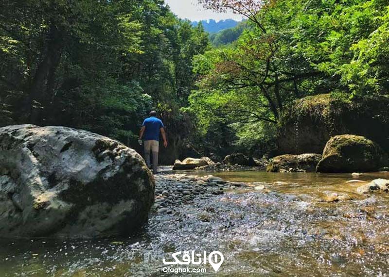 رودخانه ای در جنگل سرسبز که د کیان آن سنگ هایی بزرگ دیده می شود و مردی در نزدیکی آب کسیلیان