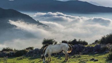آشنایی با جاهای دیدنی فیلبند | قدم گذاشتن در میان آسمان‌ها