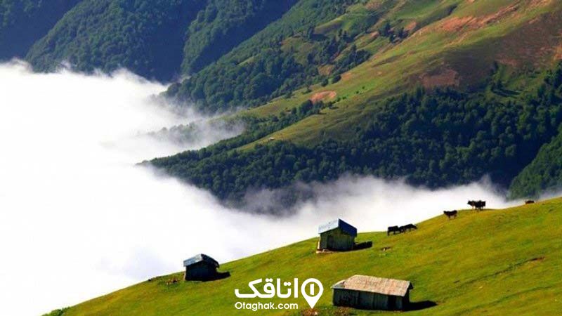 جاذبه های فیلبند