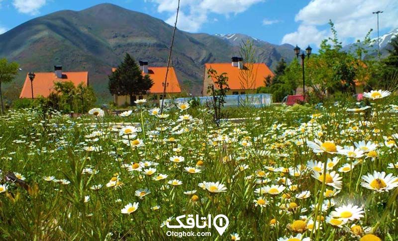 زیبایی های میگون