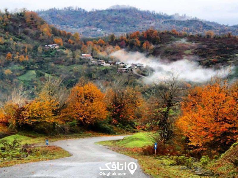 جاده ذجنگلی منتهی به روستایی بالای کوه