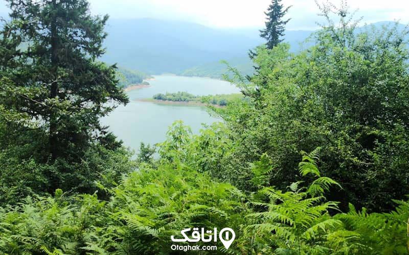 درختان و طبیعت اطراف سوادکوه شمالی