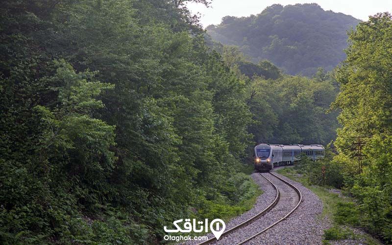 قطاری در حال غبور از مسیر سر سبز که دو طرف ان درخت است